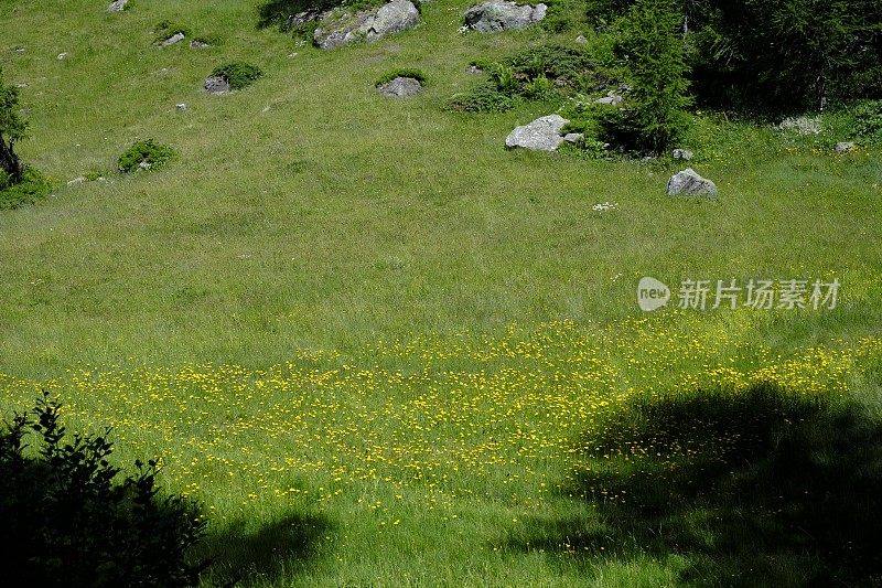 Alpe Devero - Piedmont - Italy报道